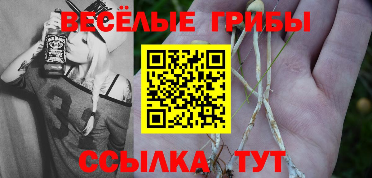 Набережные Челны  Галлюциногенные грибы Cubensis  Галлюциногенные грибы Magic Shrooms  Вход с VPN 