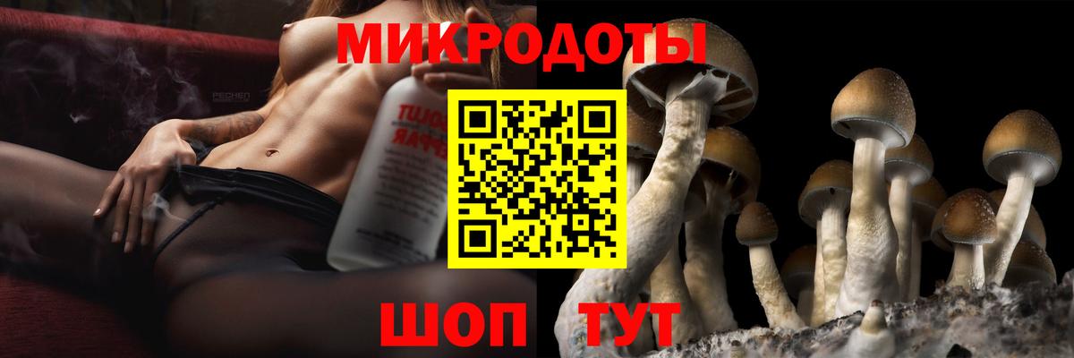 Псилоцибиновые грибы Psilocybine cubensis Набережные Челны